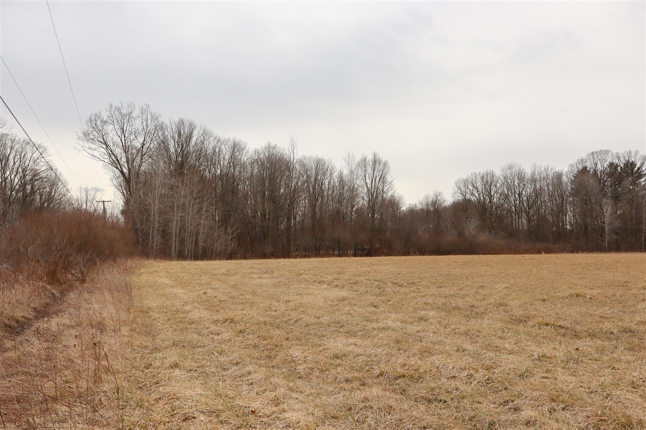 Mayer Road, Wales, MI, 48027