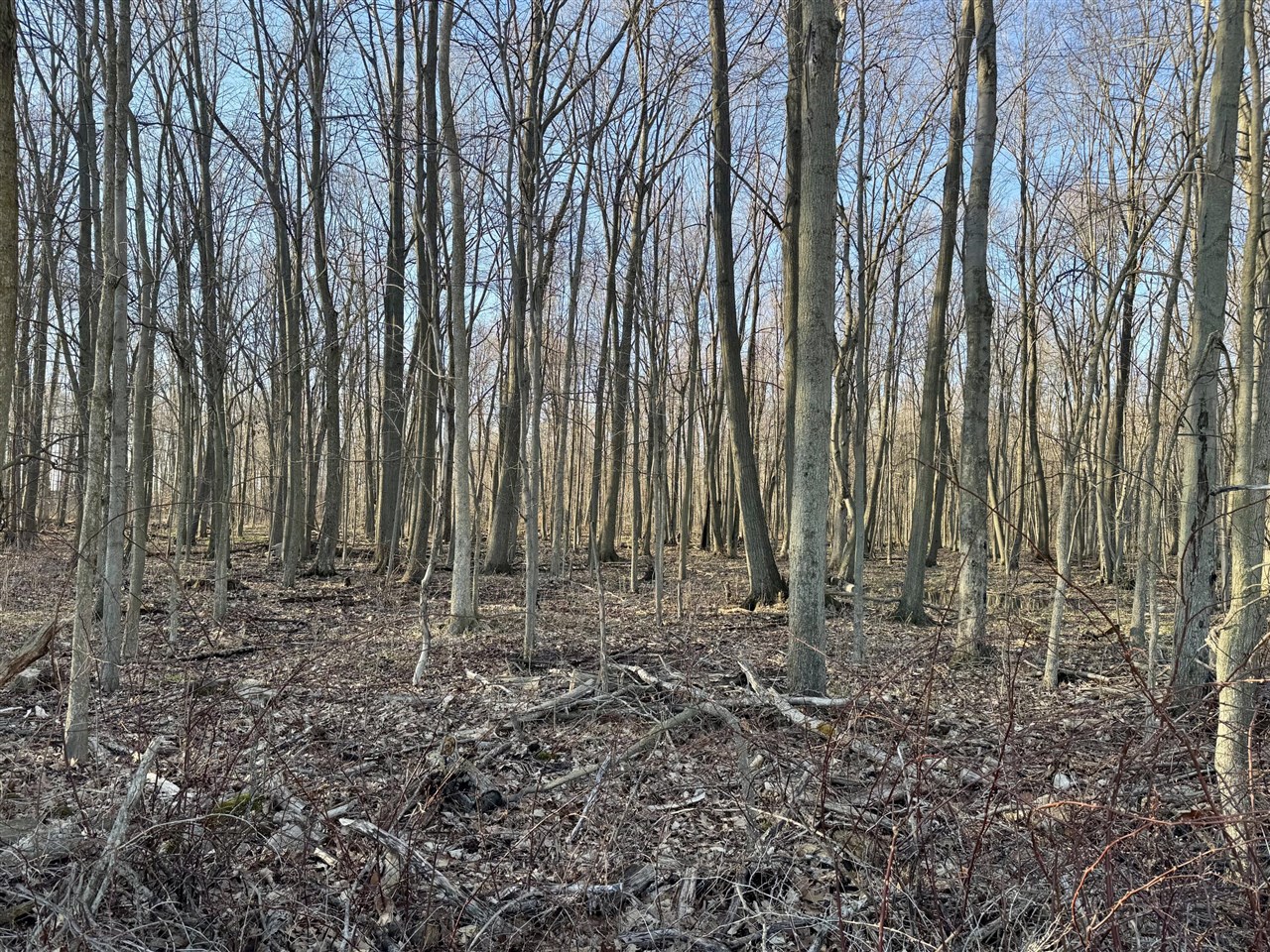 W Road, Coldwater, MI, 49036-9785