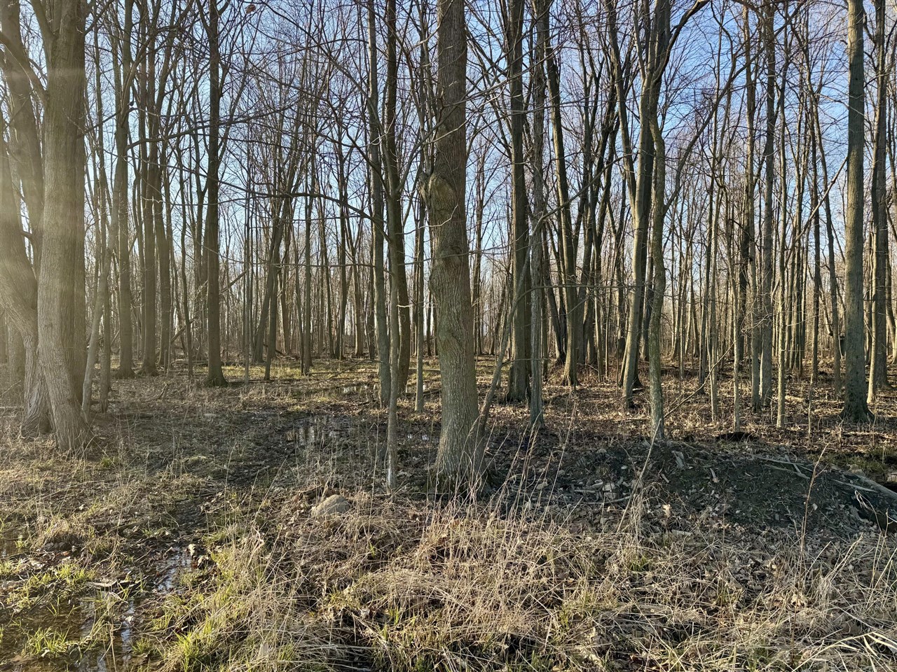 W Road, Coldwater, MI, 49036-9785