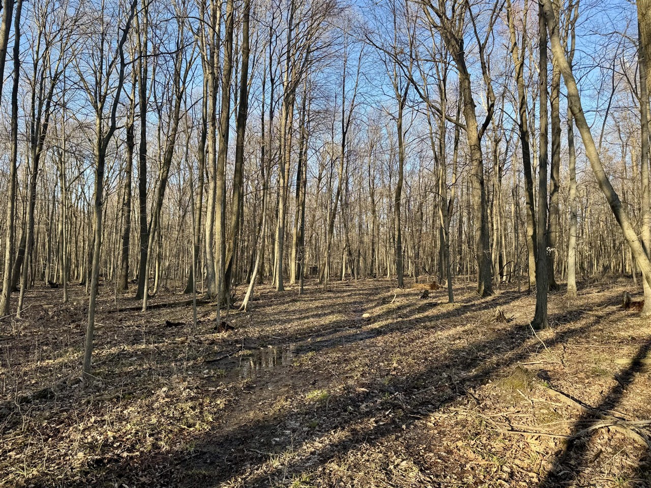W Road, Coldwater, MI, 49036-9785