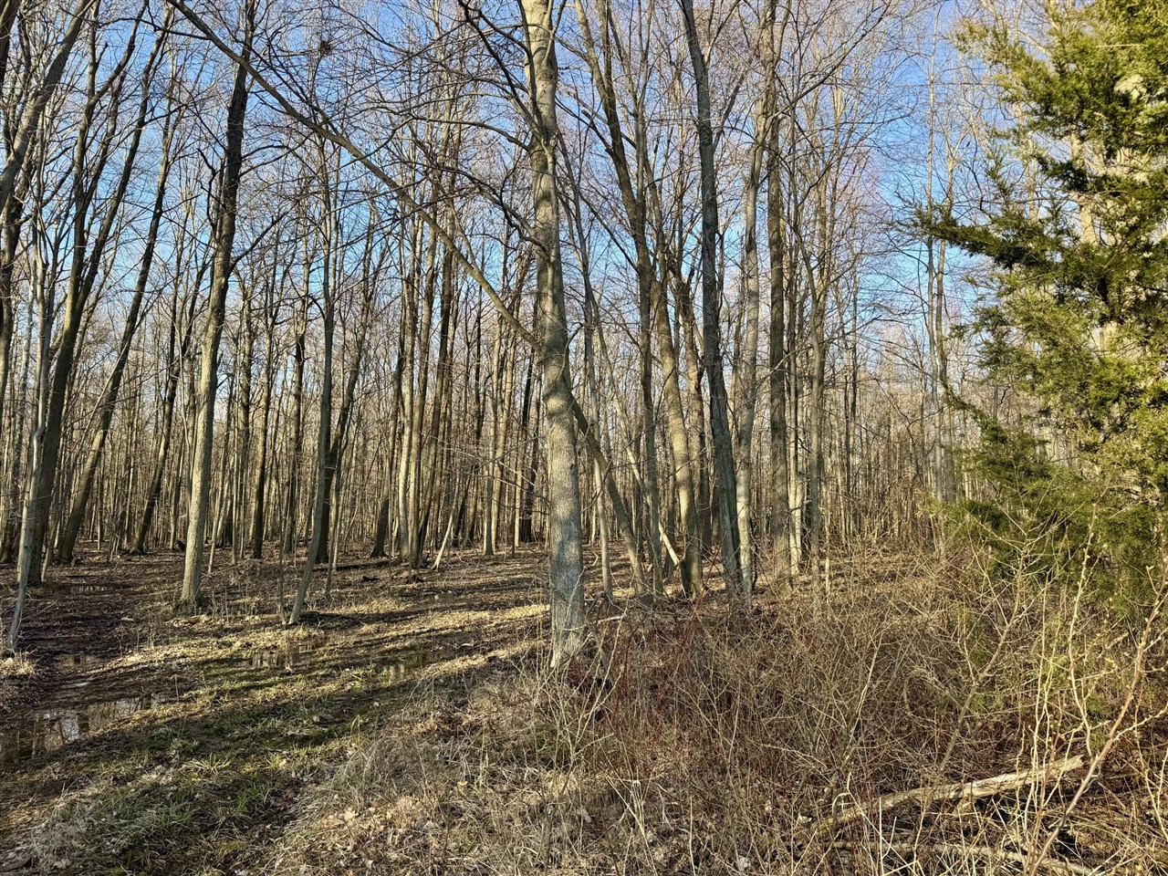 W Road, Coldwater, MI, 49036-9785