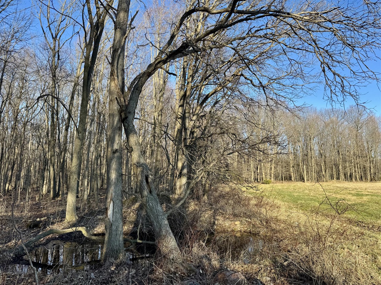 W Road, Coldwater, MI, 49036-9785
