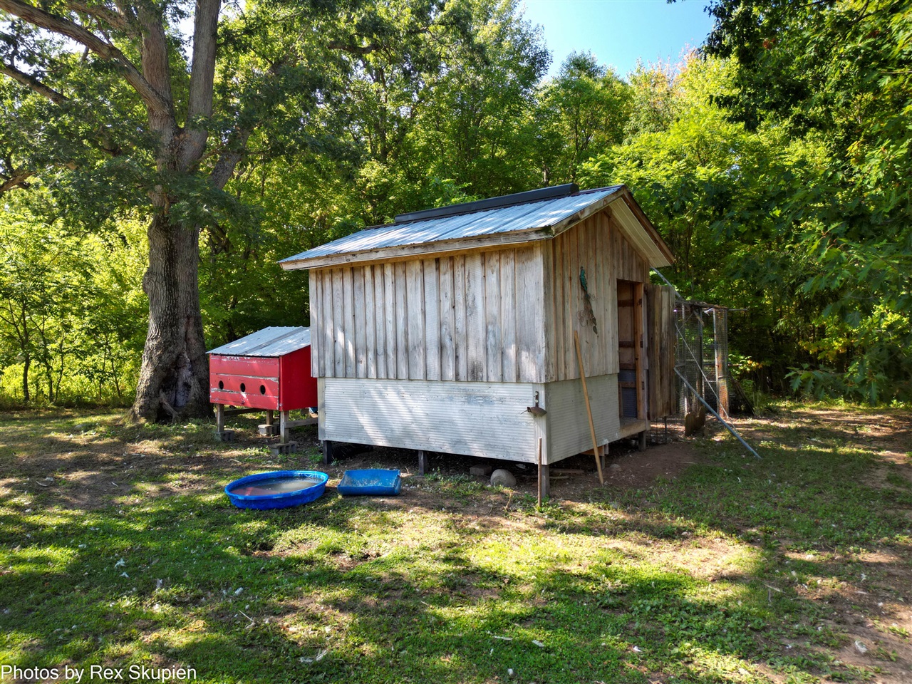 11664 N Gordon Avenue, Bitely, MI, 49309-9683