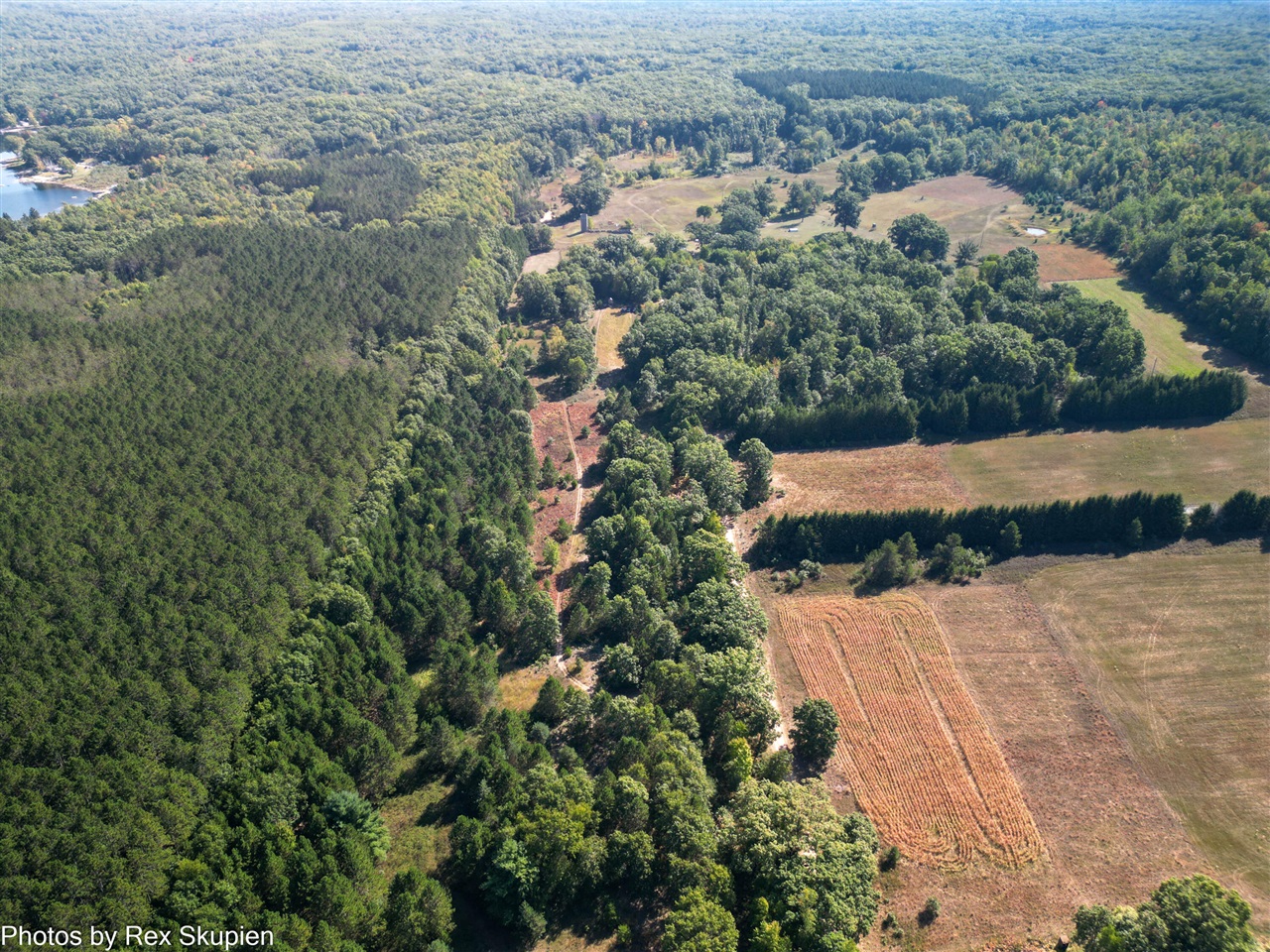 11664 N Gordon Avenue, Bitely, MI, 49309-9683