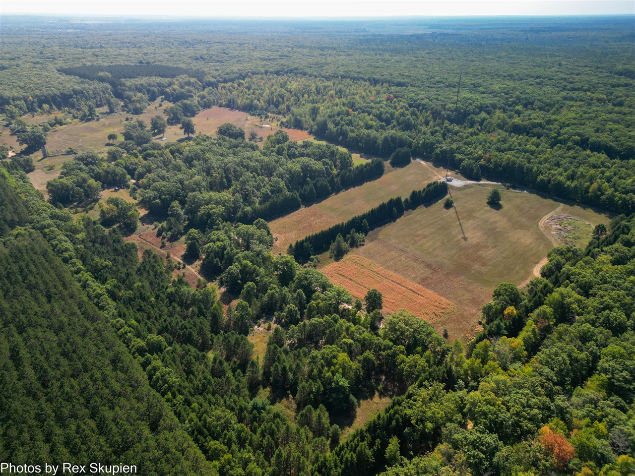 11664 N Gordon Avenue, Bitely, MI, 49309-9683