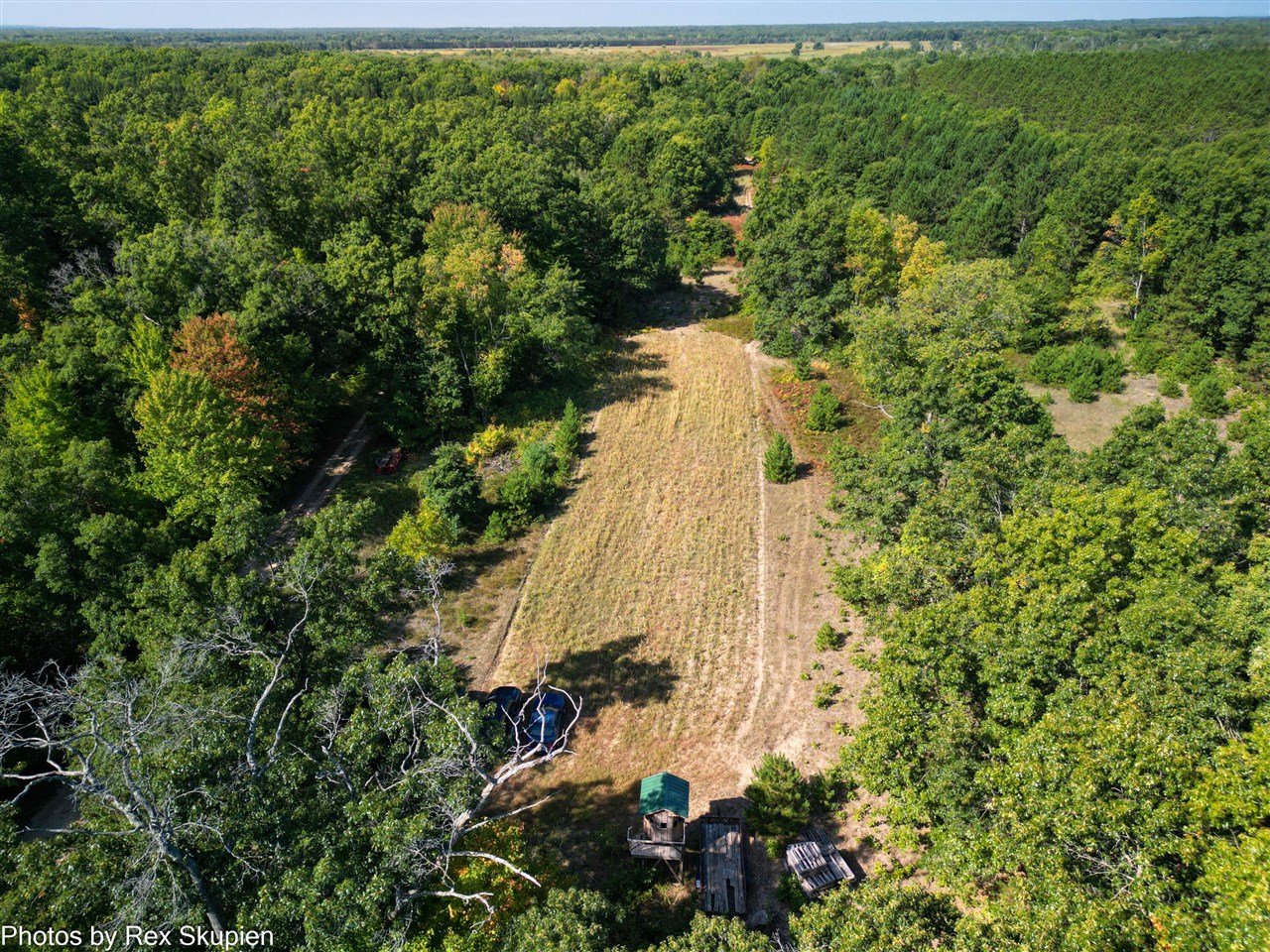 11664 N Gordon Avenue, Bitely, MI, 49309-9683