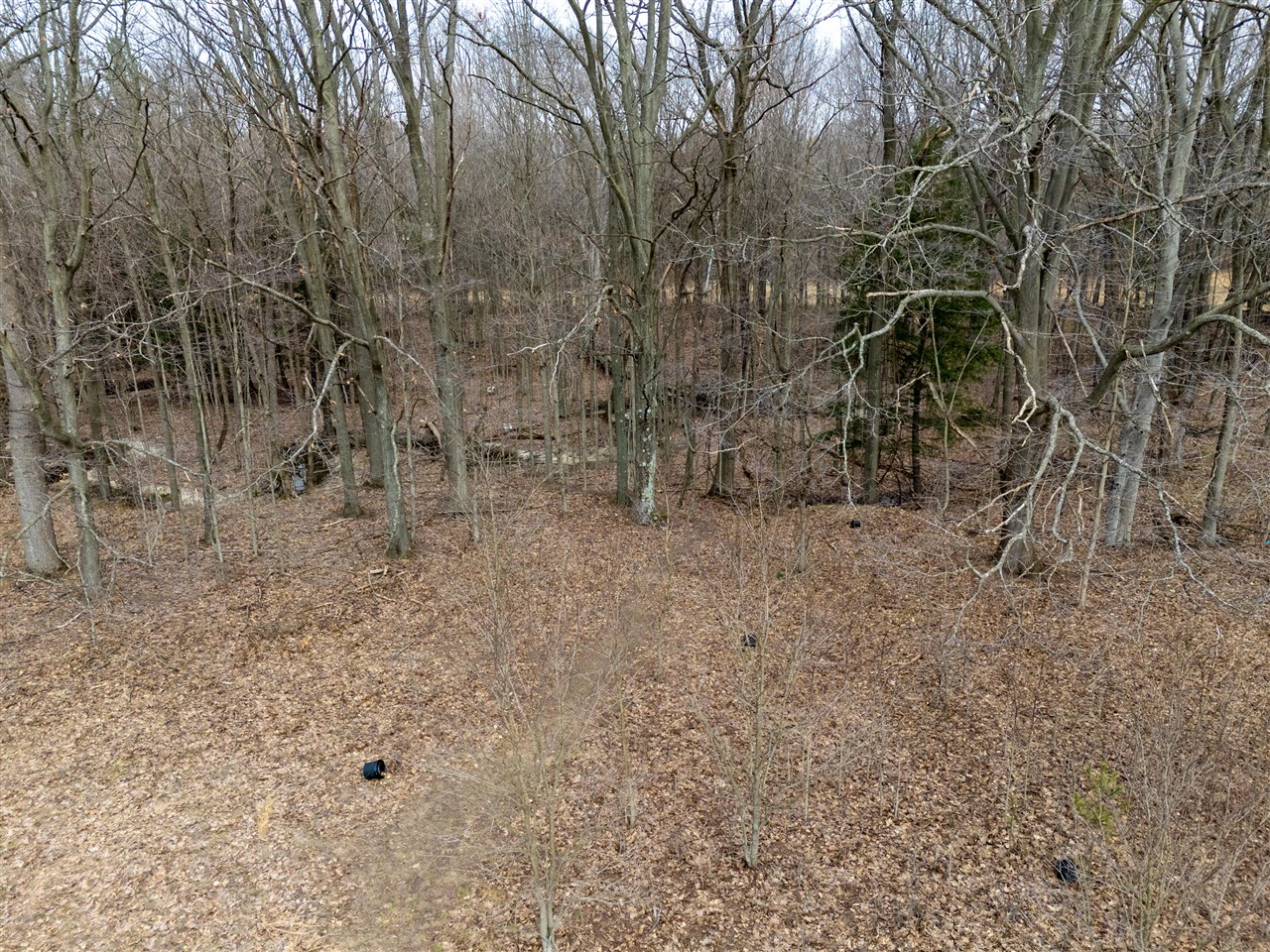 55126 24th Avenue, Bangor, MI, 49013-9703