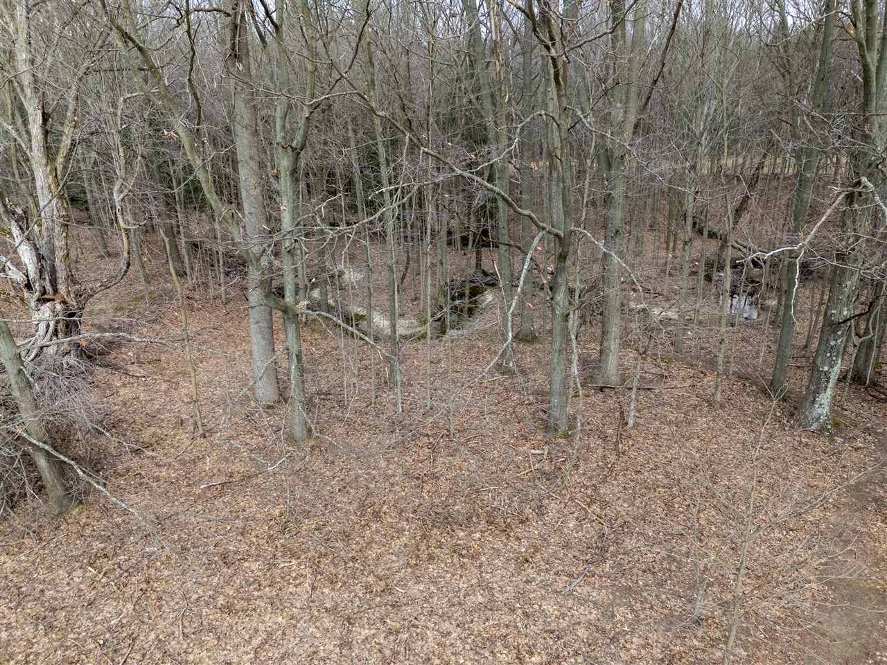 55126 24th Avenue, Bangor, MI, 49013-9703