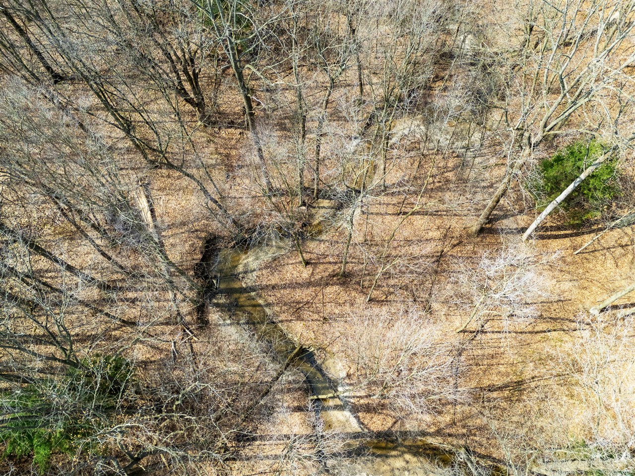 55126 24th Avenue, Bangor, MI, 49013-9703