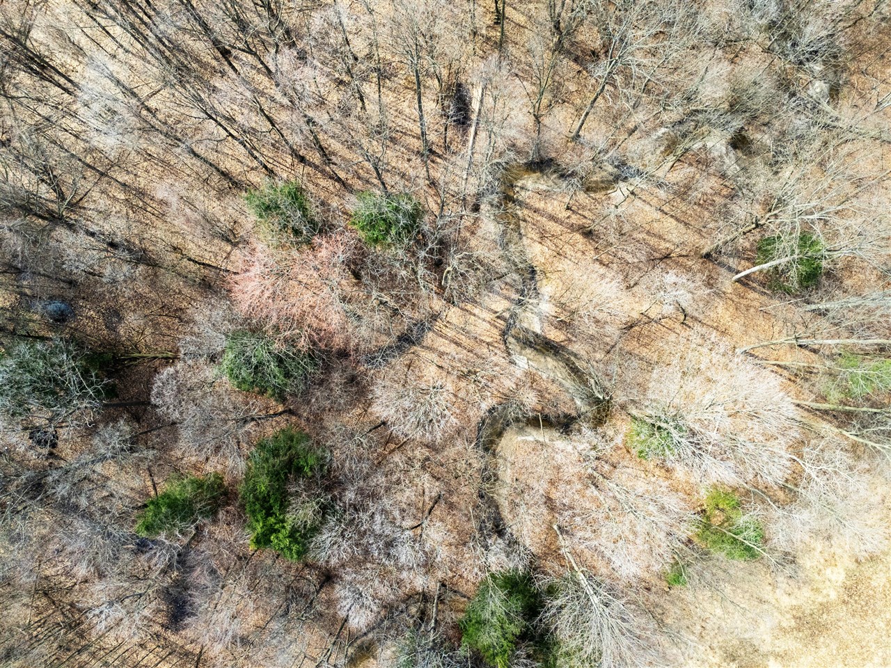 55126 24th Avenue, Bangor, MI, 49013-9703