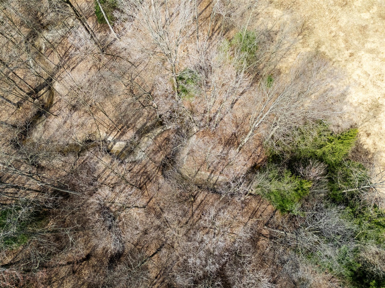 55126 24th Avenue, Bangor, MI, 49013-9703