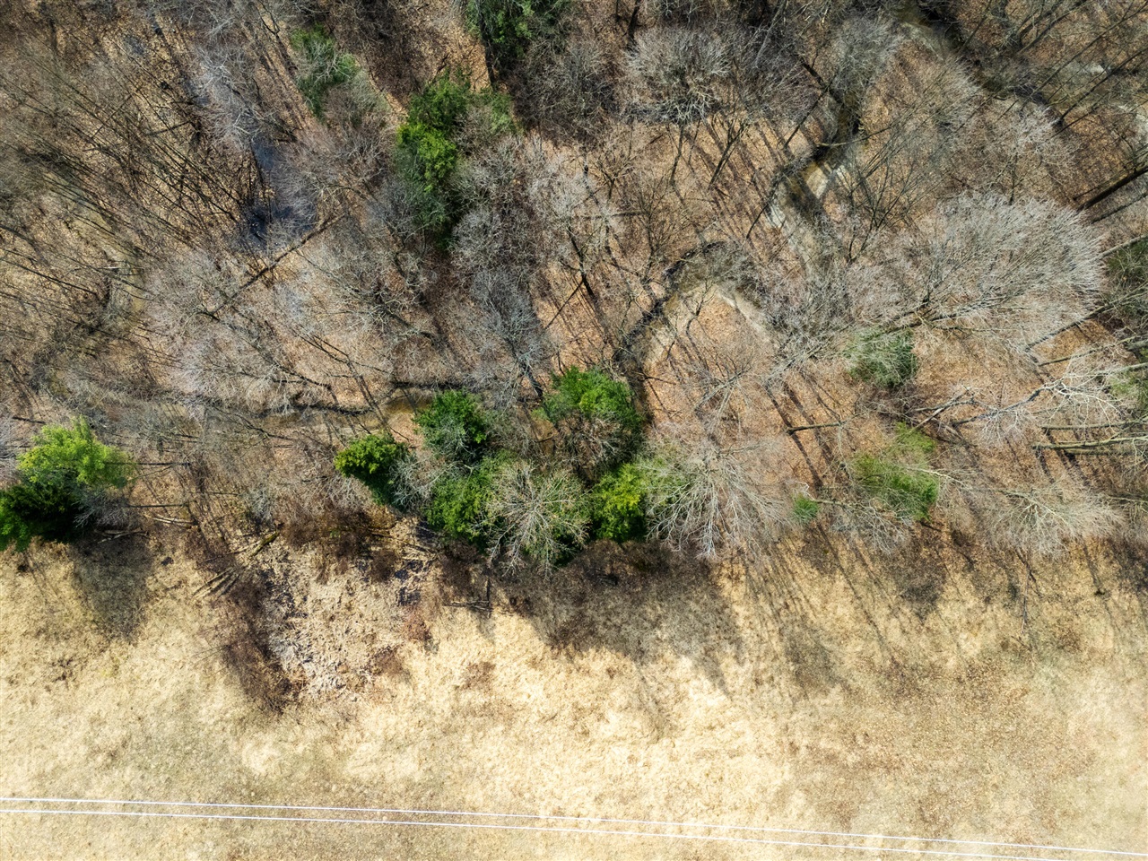 55126 24th Avenue, Bangor, MI, 49013-9703