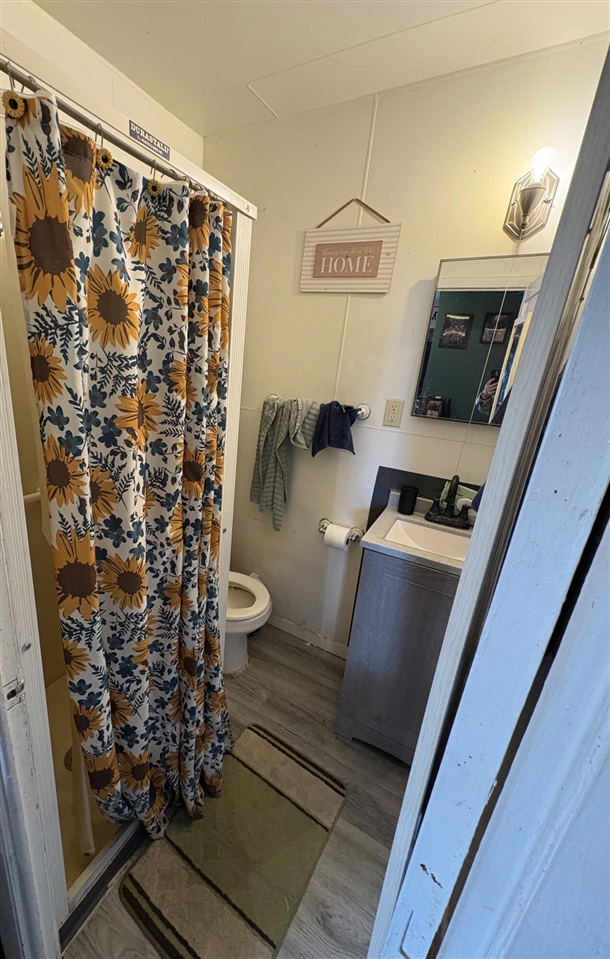 112 W 11th Street, Evart, MI, 49631-9767