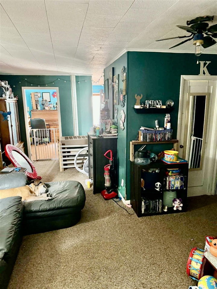 112 W 11th Street, Evart, MI, 49631-9767