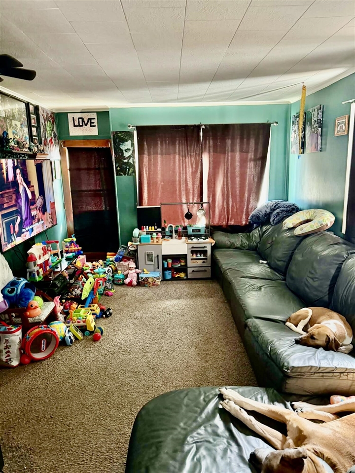 112 W 11th Street, Evart, MI, 49631-9767