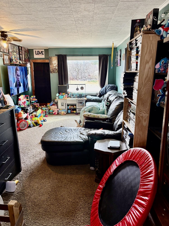 112 W 11th Street, Evart, MI, 49631-9767