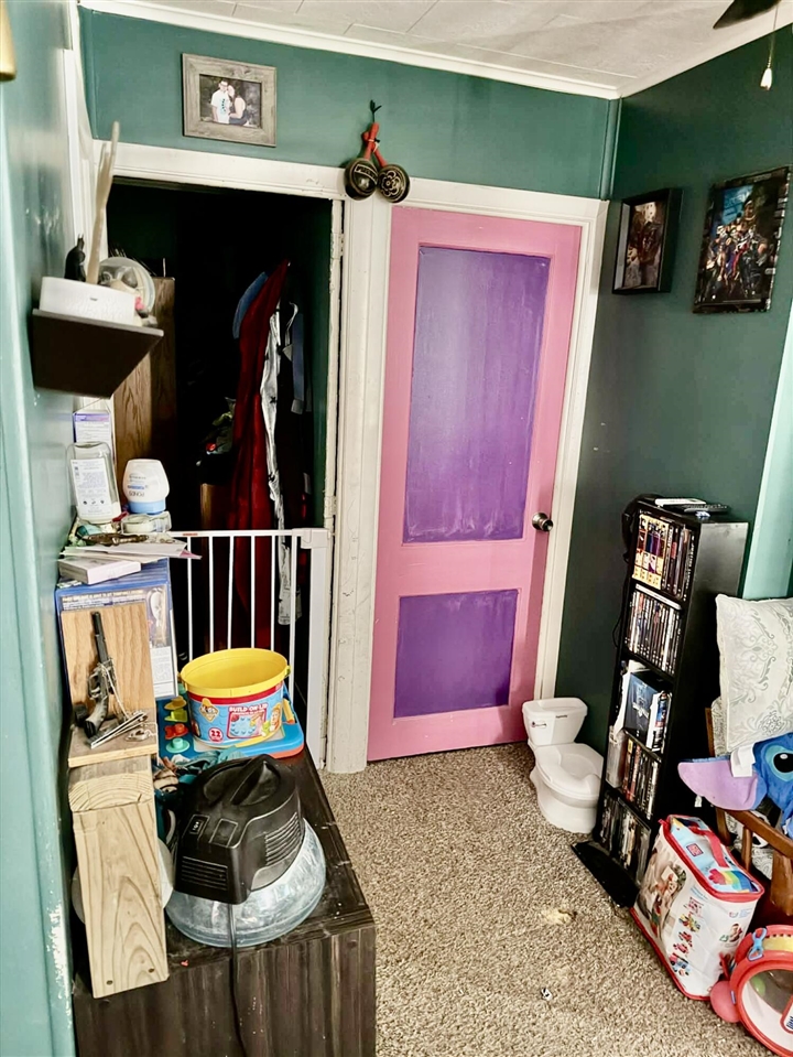 112 W 11th Street, Evart, MI, 49631-9767