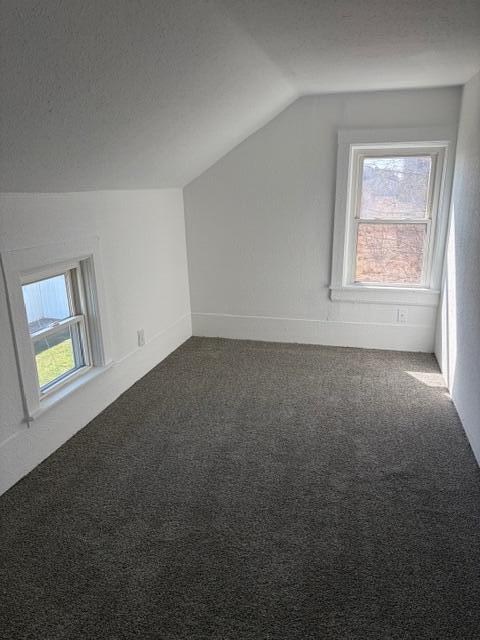 7785 Saddlebag Lake Road, Lake Odessa, MI, 48849-9319