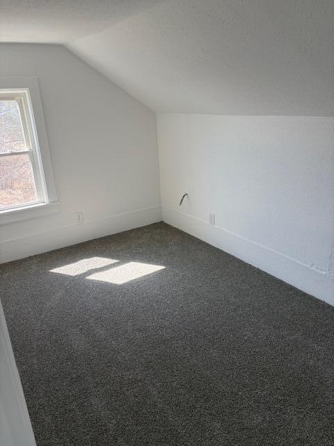 7785 Saddlebag Lake Road, Lake Odessa, MI, 48849-9319