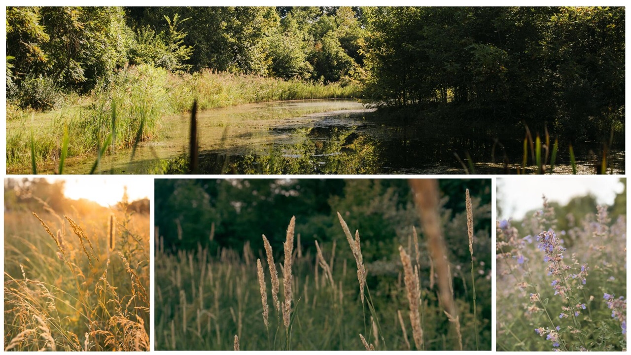 5553 Hidden Pond Lane, Sawyer, MI, 49125