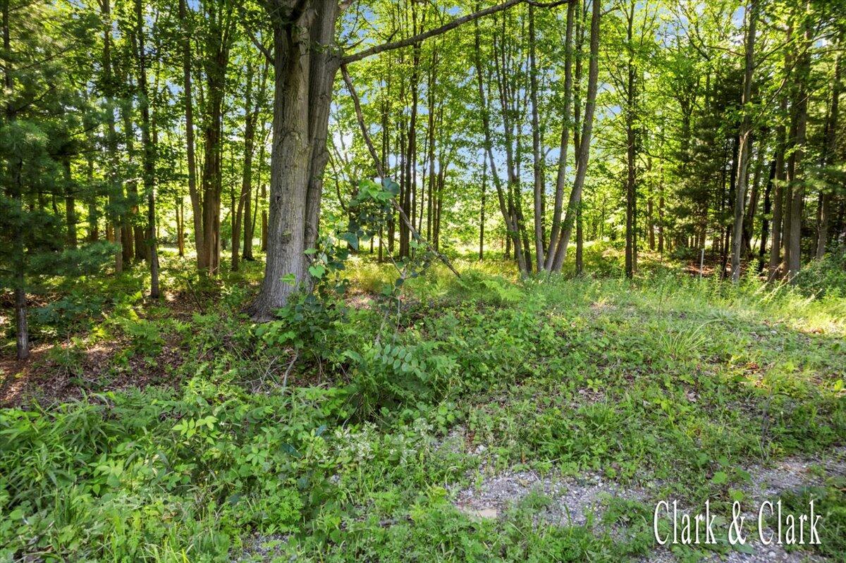 168th Avenue, Spring Lake, MI, 49456