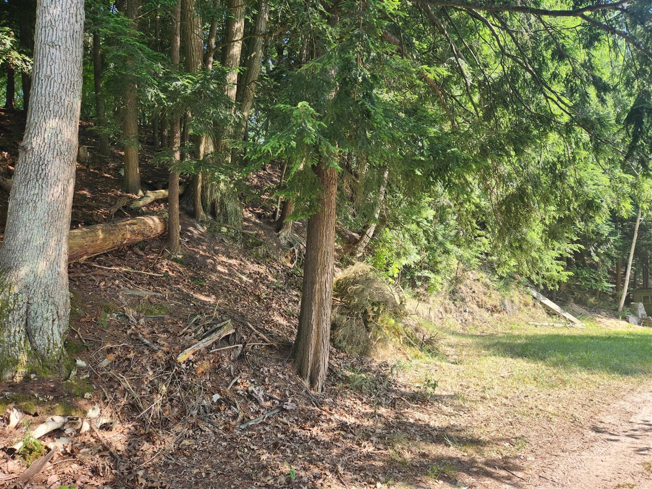 5341 N Benson Road, Fountain, MI, 49410-8713