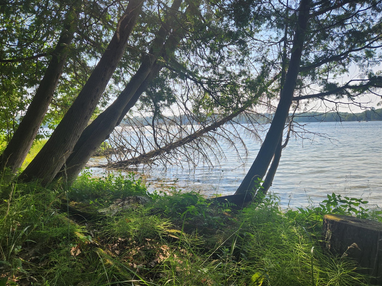 5341 N Benson Road, Fountain, MI, 49410-8713