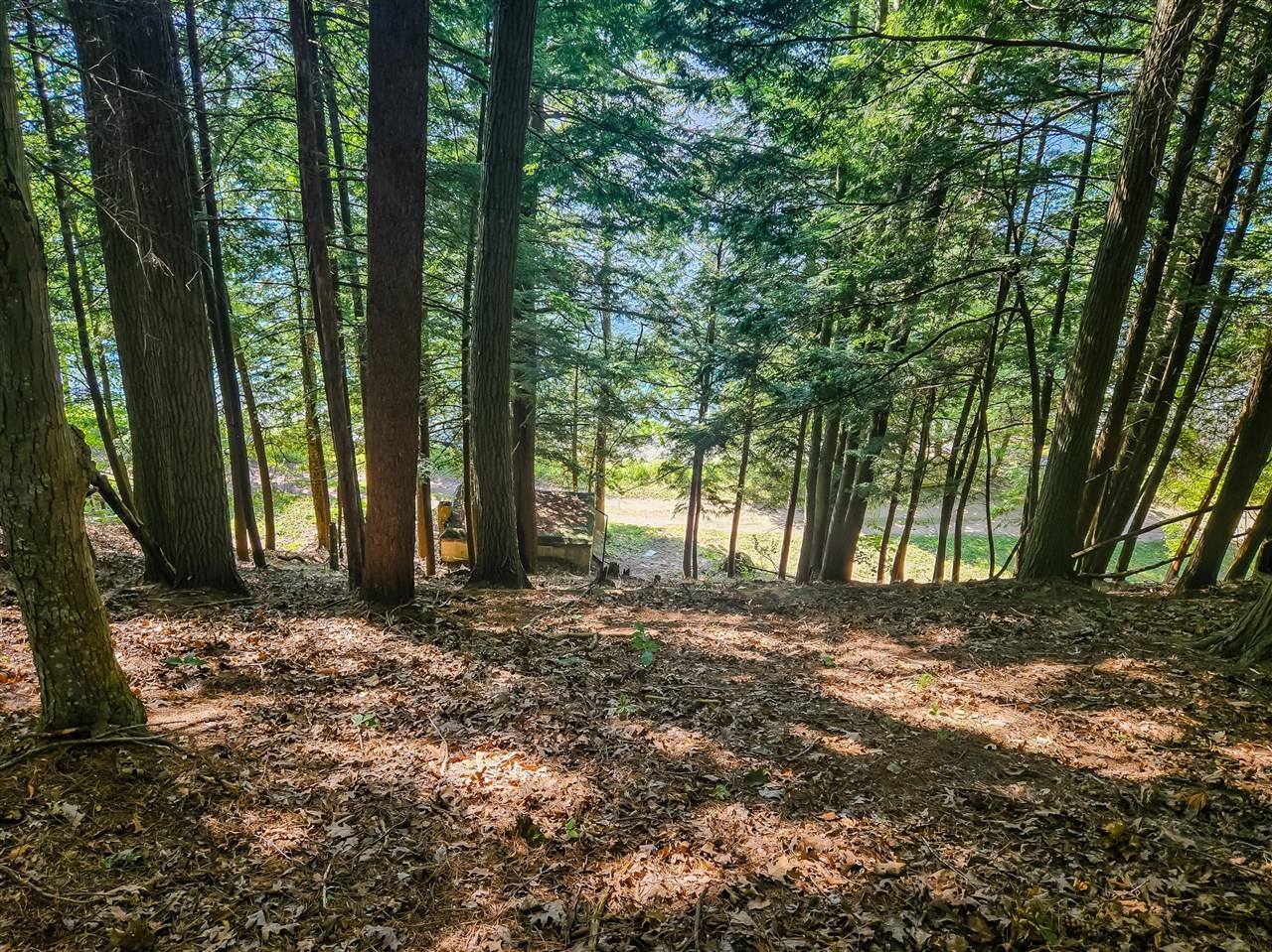 5341 N Benson Road, Fountain, MI, 49410-8713