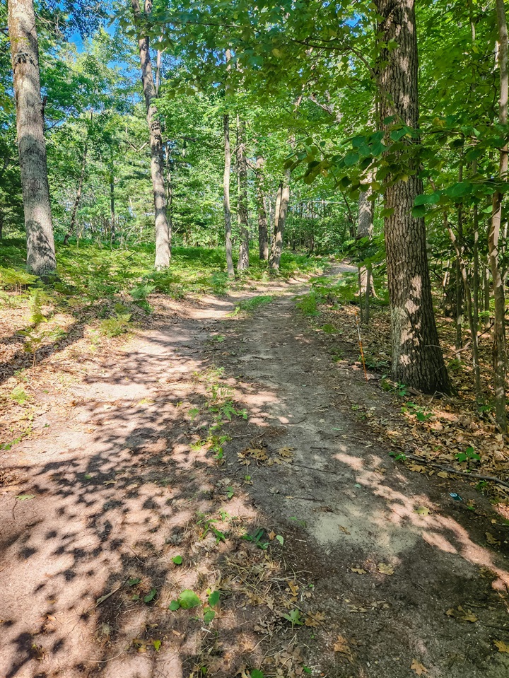 5341 N Benson Road, Fountain, MI, 49410-8713