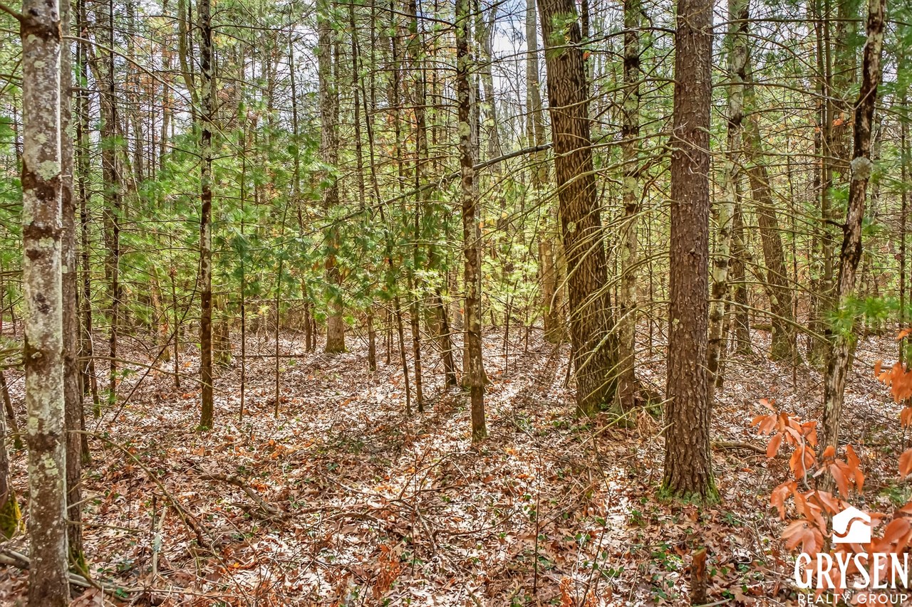 W Road, Montague, MI, 49437
