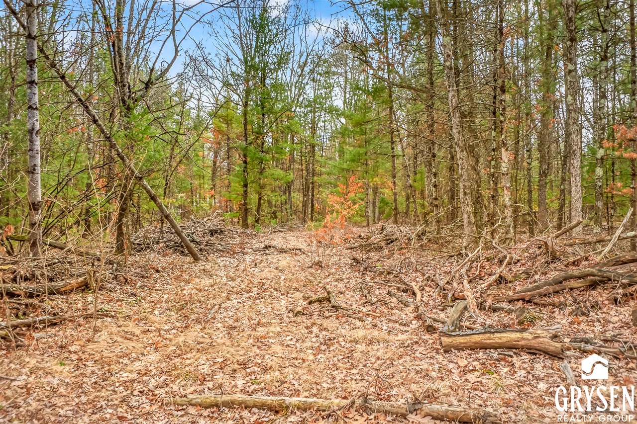 W Road, Montague, MI, 49437
