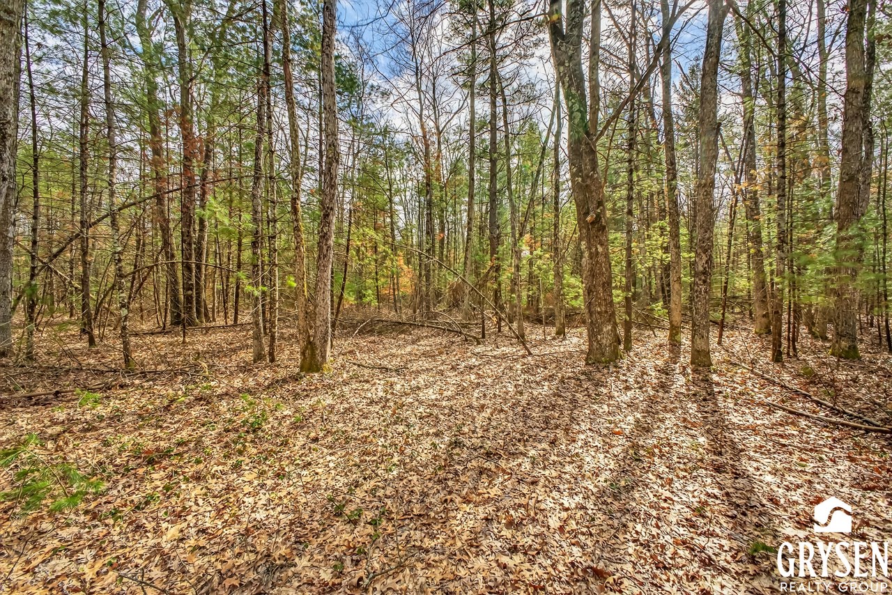 W Road, Montague, MI, 49437