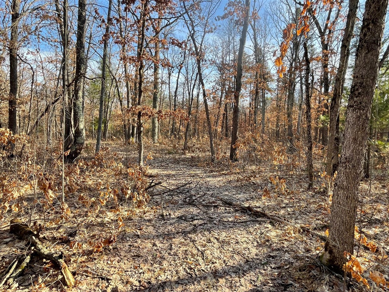 2nd image of 21210 W 12 Mile Rd, Irons, MI 49644 | MLS# 70522200