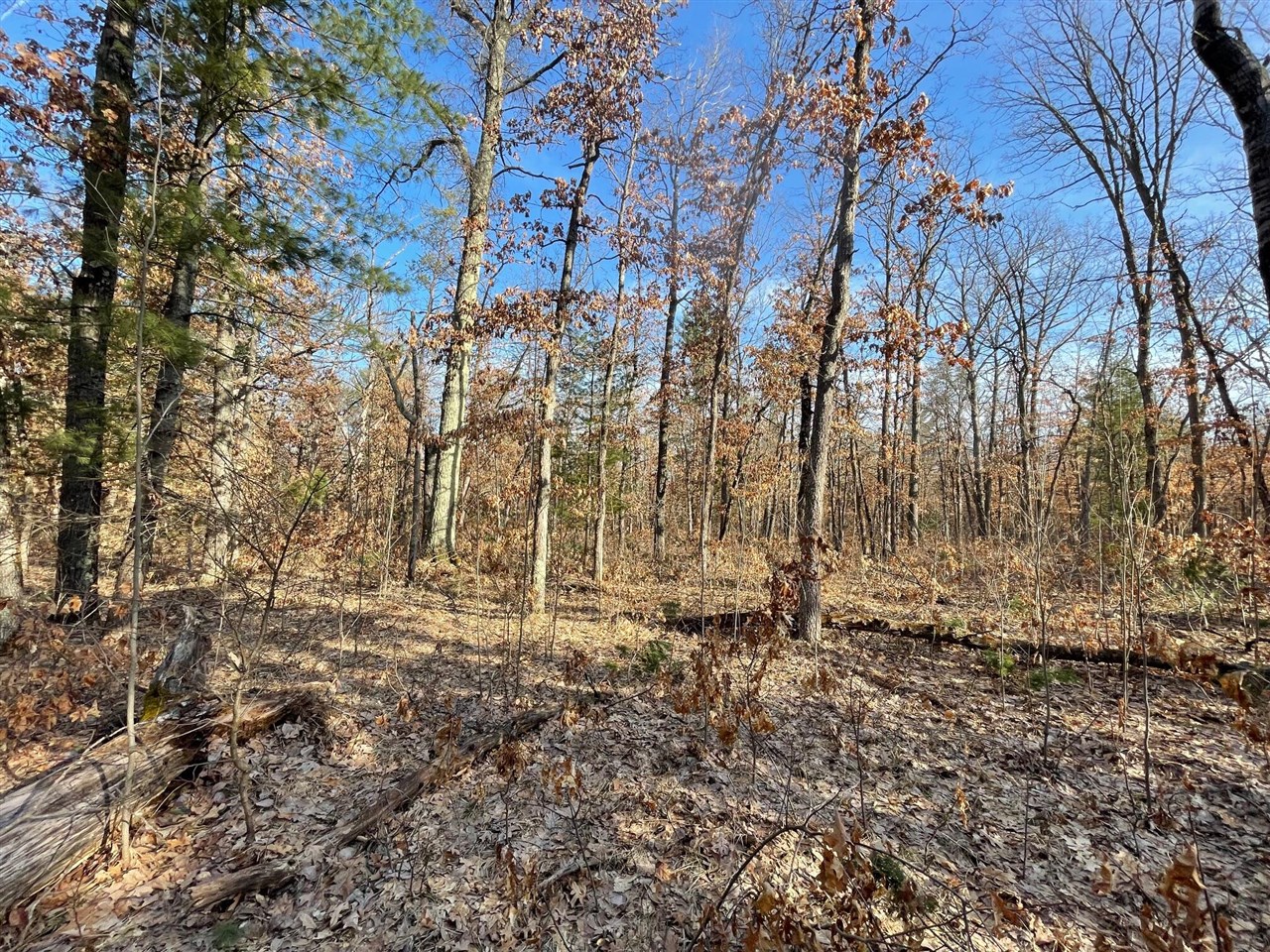 3rd image of 21210 W 12 Mile Rd, Irons, MI 49644 | MLS# 70522200