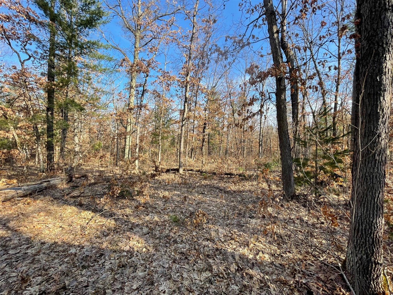 4th image of 21210 W 12 Mile Rd, Irons, MI 49644 | MLS# 70522200