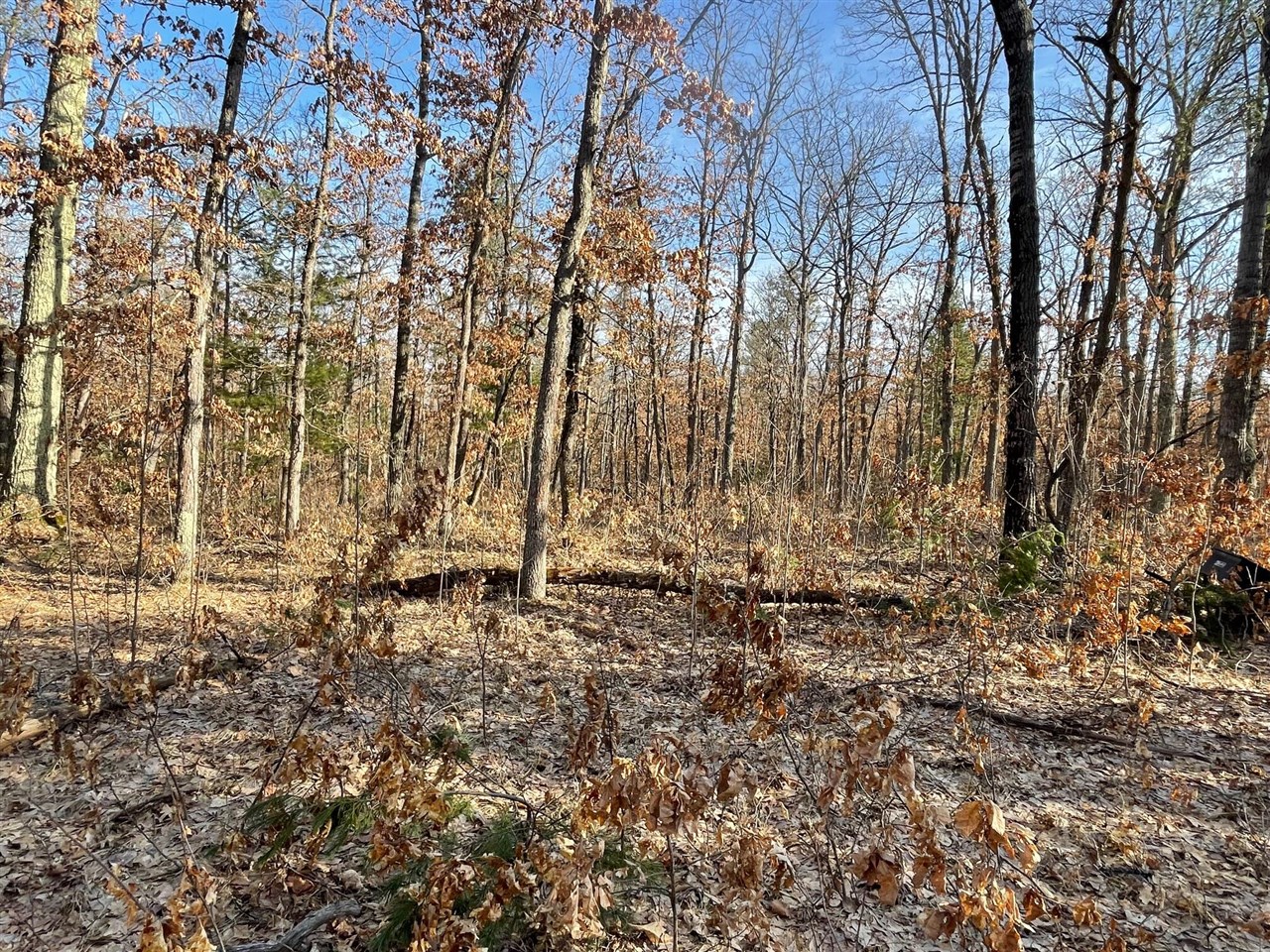 5th image of 21210 W 12 Mile Rd, Irons, MI 49644 | MLS# 70522200