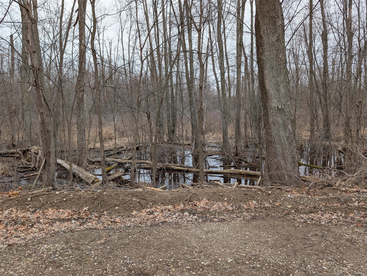 1610 Mull Road, Tipton, MI, 49287-9611