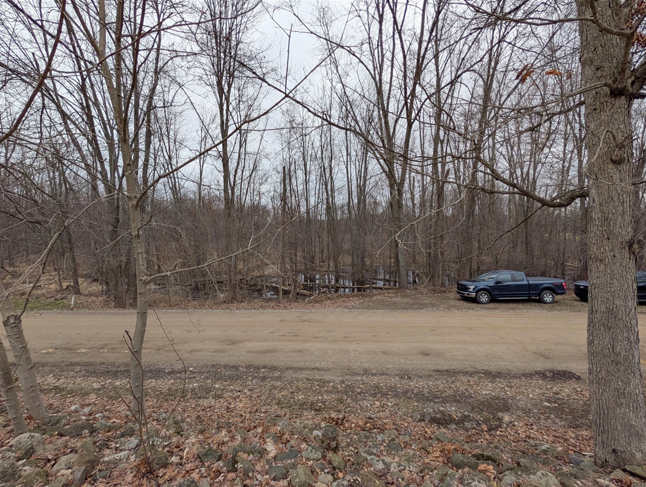 1610 Mull Road, Tipton, MI, 49287-9611