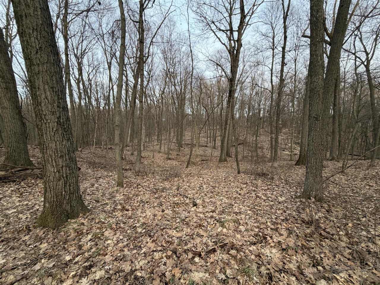 7725 Hayward Rd Road, Delton, MI, 49046