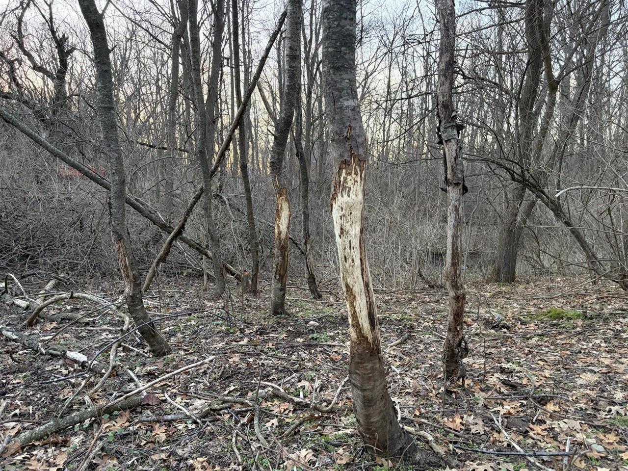 7725 Hayward Rd Road, Delton, MI, 49046