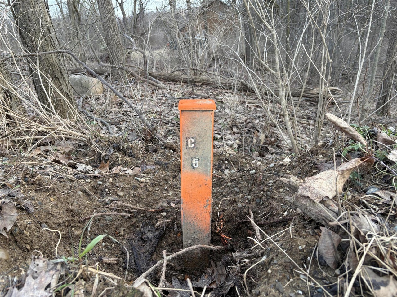 7725 Hayward Rd Road, Delton, MI, 49046