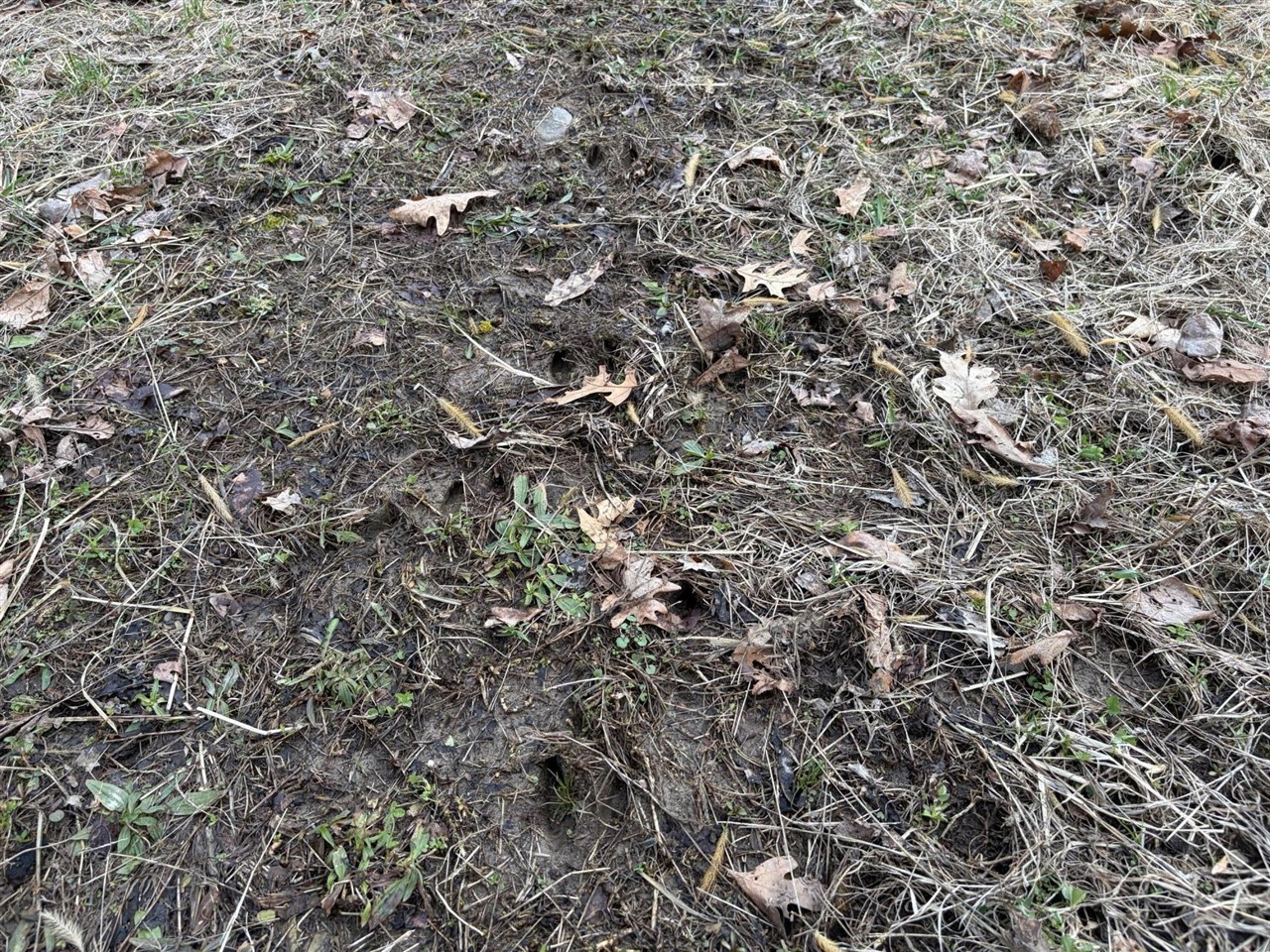 7725 Hayward Rd Road, Delton, MI, 49046