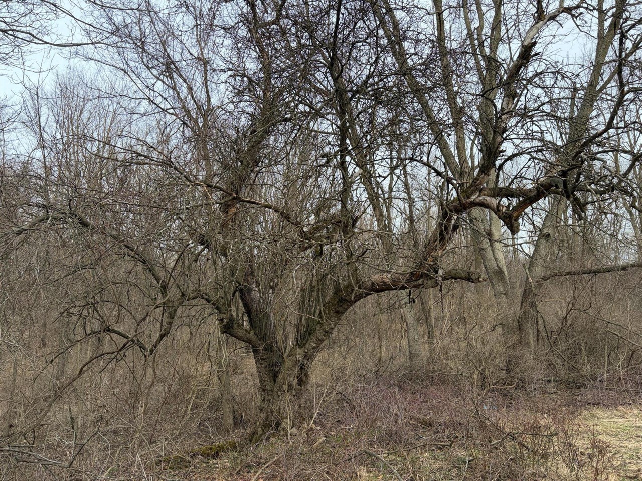 7725 Hayward Rd Road, Delton, MI, 49046