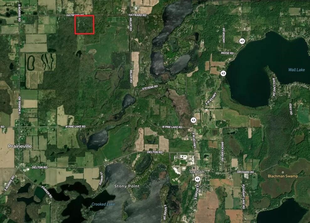 7725 Hayward Rd Road, Delton, MI, 49046