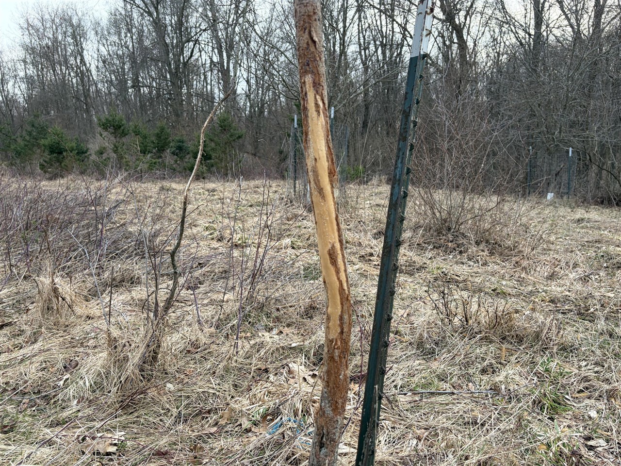 7725 Hayward Rd Road, Delton, MI, 49046