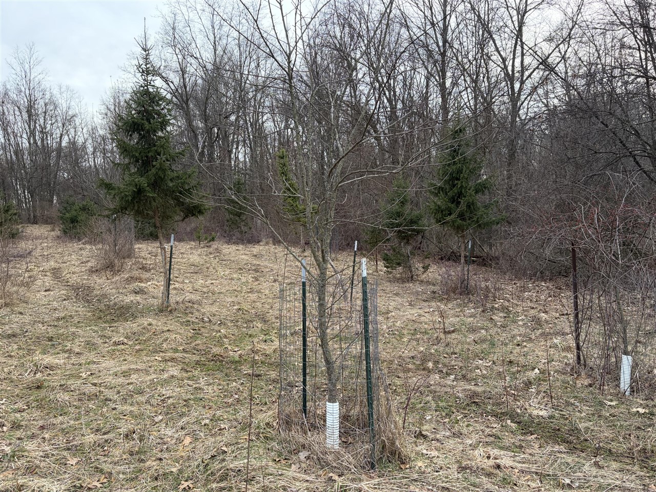 7725 Hayward Rd Road, Delton, MI, 49046