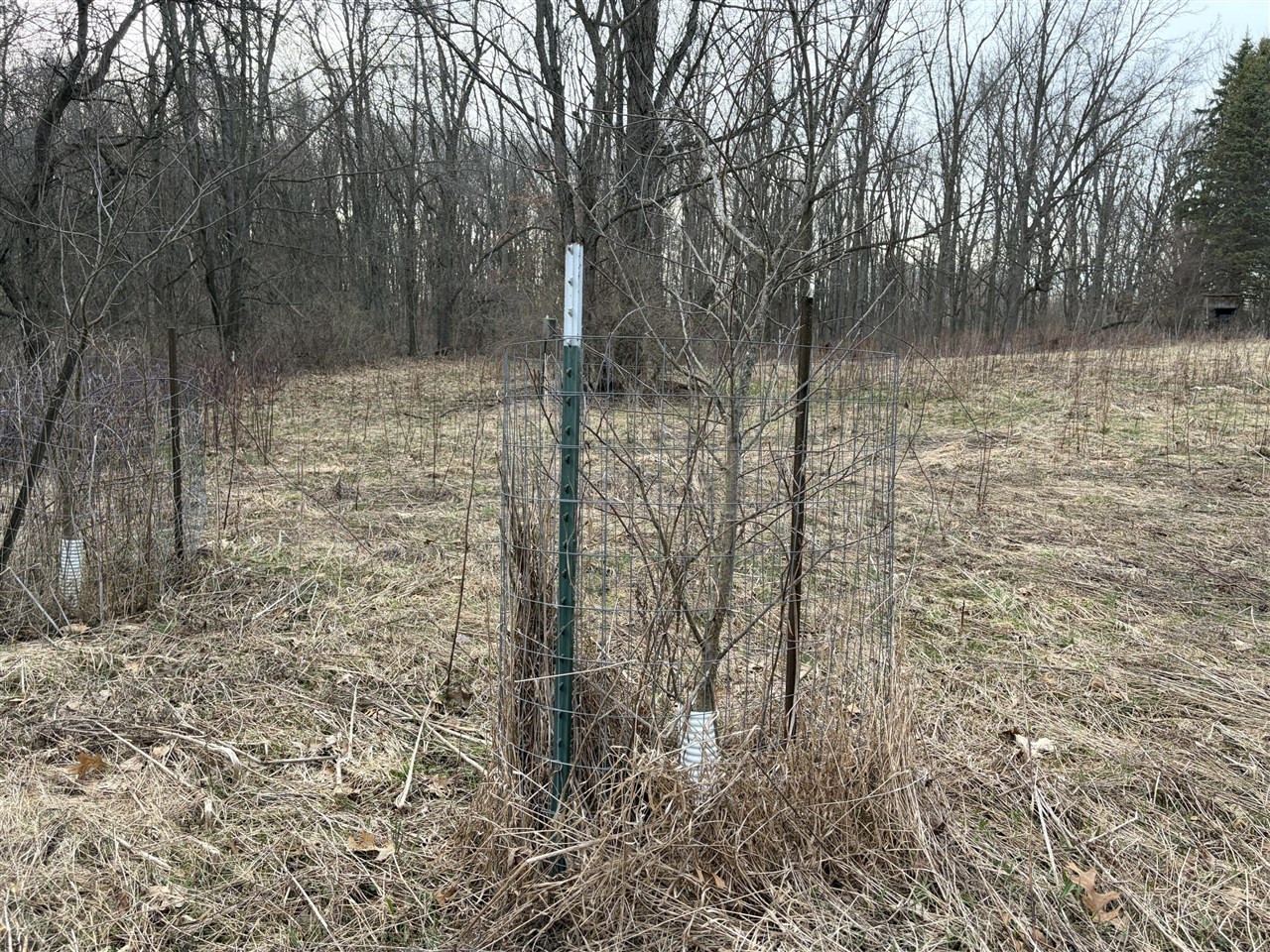 7725 Hayward Rd Road, Delton, MI, 49046