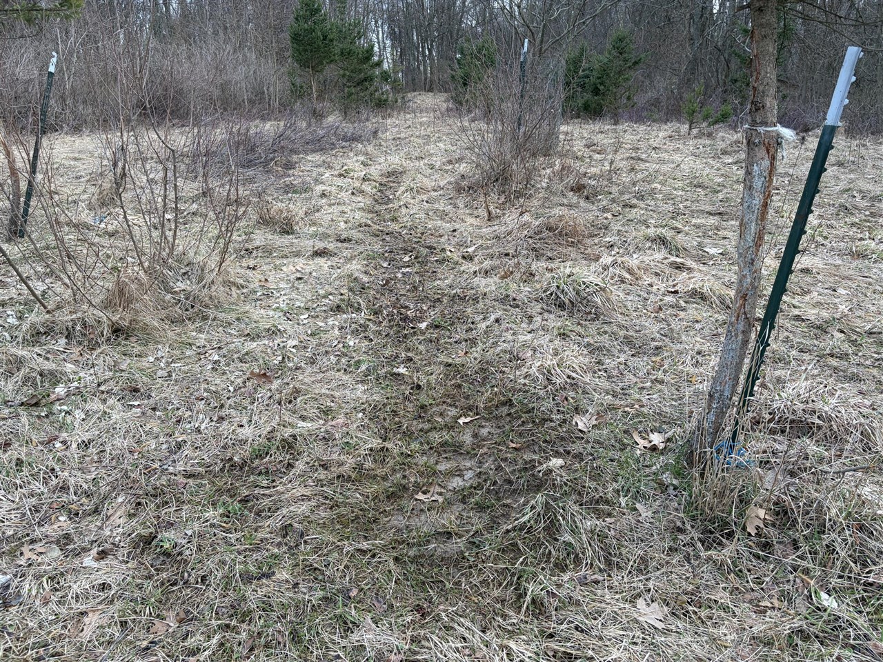 7725 Hayward Rd Road, Delton, MI, 49046