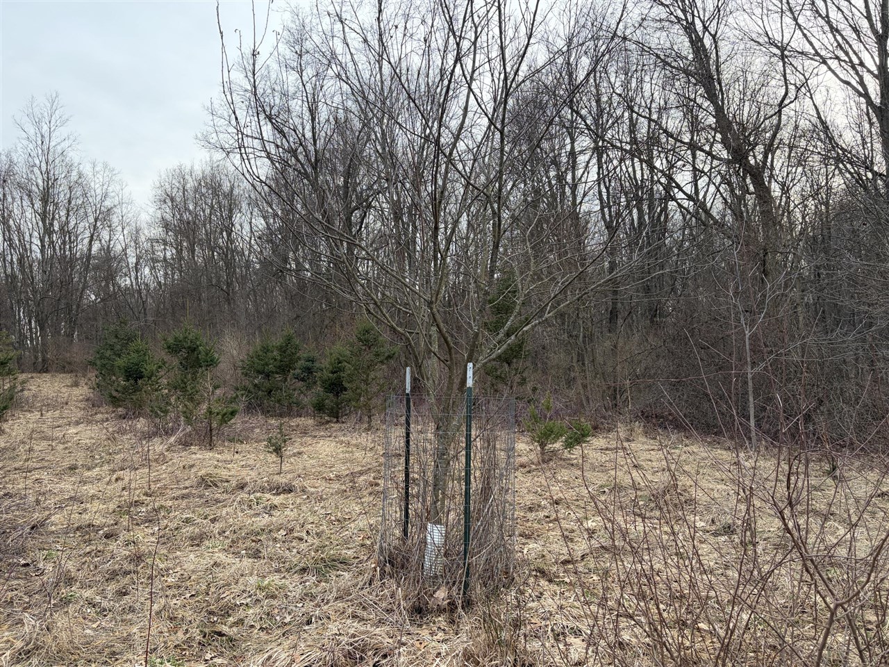 7725 Hayward Rd Road, Delton, MI, 49046