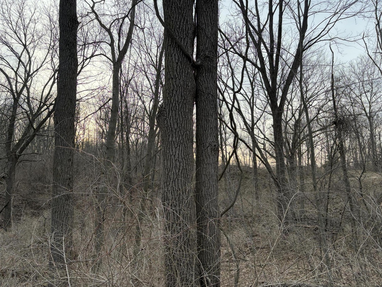 7725 Hayward Rd Road, Delton, MI, 49046